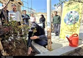 کاشت نهال به یاد رهبر شهید انقلاب در کردستان