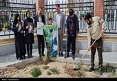 کاشت نهال به یاد رهبر شهید انقلاب در کردستان