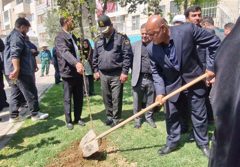 اخبار اسلامشهر , جنگ , سازمان بازرسی کل کشور , روز درختکاری , 