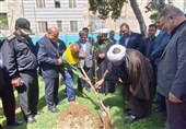 آیین کاشت نهال مثمر در اسلامشهر برگزار شد