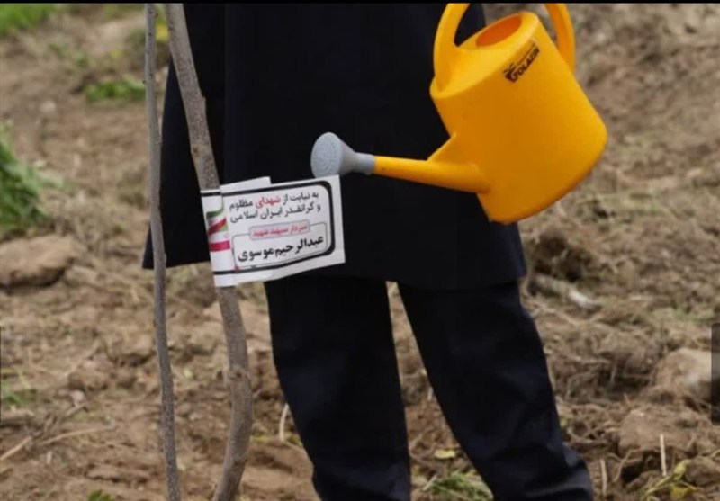 مشهد مقدس , اخبار مشهد , خراسان رضوی , سازمان اوقاف , اخبار استان خراسان رضوی , روز درختکاری , اخبار میناب , شهدای مدافع وطن , جنگ آمریکا و رژیم صهیونیستی علیه ایران , 