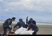کشت سیب زمینی در اردبیل وتلاش کشاورزان برای رونق تولید
