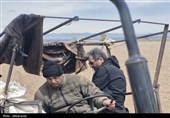 کشت سیب زمینی در اردبیل وتلاش کشاورزان برای رونق تولید