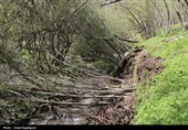 رانش زمین در روستای «لشکان» اشکور گیلان