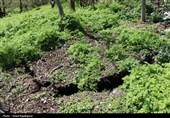رانش زمین در روستای «لشکان» اشکور گیلان