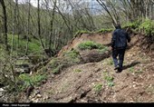 رانش زمین در روستای «لشکان» اشکور گیلان