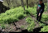 رانش زمین در روستای «لشکان» اشکور گیلان