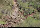 رانش زمین در روستای «لشکان» اشکور گیلان