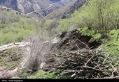 رانش زمین در روستای «لشکان» اشکور گیلان