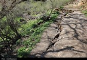 رانش زمین در روستای «لشکان» اشکور گیلان