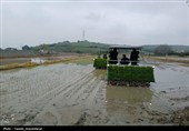 آئین کشت مکانیزه برنج کشور