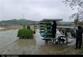 آئین کشت مکانیزه برنج کشور