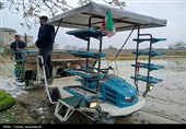 آئین کشت مکانیزه برنج کشور
