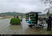 آئین کشت مکانیزه برنج کشور