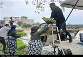 آئین کشت مکانیزه برنج کشور