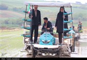 آئین کشت مکانیزه برنج کشور