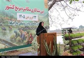آئین کشت مکانیزه برنج کشور