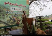 آئین کشت مکانیزه برنج کشور