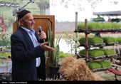 آئین کشت مکانیزه برنج کشور