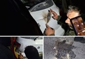 منشأ صدای انفجار در منطقۀ 10 تهران بستۀ انفجاری دست‌ساز بود