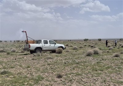 مبارزه با ملخ‌های زیان‌آور در 4000 هکتار از اراضی گناباد