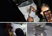 Blast Sound in Central Tehran Caused by Explosion of IED