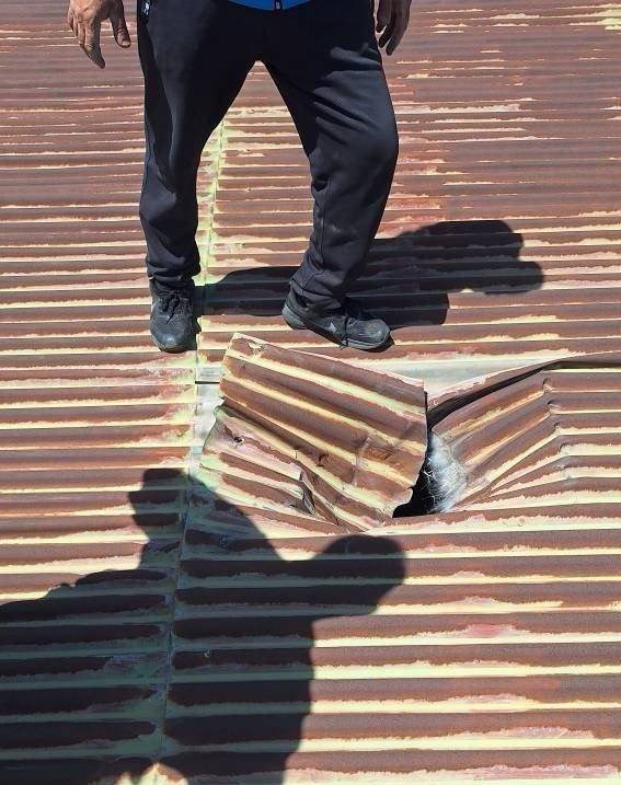 وزنه‌برداری , فدراسیون وزنه‌برداری ایران , 