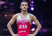 Титул лучшего борца Азии завоевал иранец