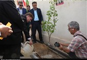 برگزاری پویش ملی «نهال امید و سرو ایران» به یاد شهدای استان بوشهر+فیلم