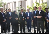 کاشت نهال به یاد 35 شهید والامقام اقتدار رمضان در بوشهر
