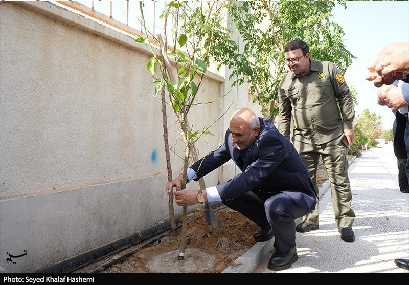 استانداری بوشهر , حمله اسرائیل به ایران , اخبار بوشهر , 