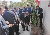 کاشت نهال به یاد 35 شهید والامقام اقتدار رمضان در بوشهر+تصویر