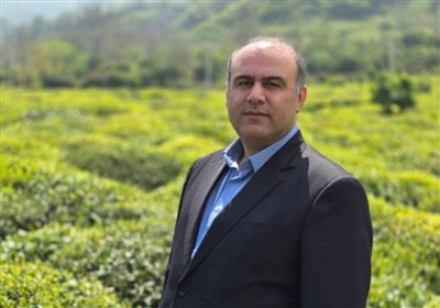 لنگرود قهرمان پرداخت مطالبات چای/ 3 ماه زودتر از سایر شهرستان‌ها