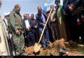 موج درختکاری در یاسوج؛ 20 هزار نهال در یک روز