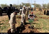 موج درختکاری در یاسوج؛ 20 هزار نهال در یک روز
