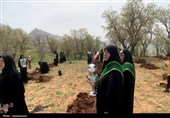 موج درختکاری در یاسوج؛ 20 هزار نهال در یک روز