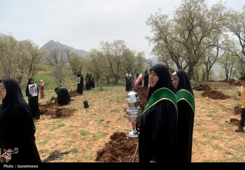 سازمان منابع طبیعی , اخبار یاسوج , 