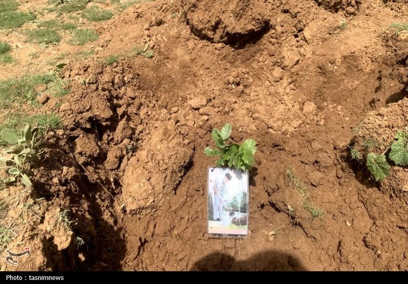 سازمان منابع طبیعی , اخبار یاسوج , 