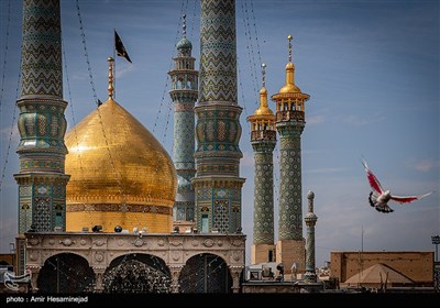 بمناسبت ولادت حضرت معصومه (س)