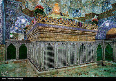 جلال و جبروت حضرت فاطمه(س) در حضرت معصومه(س)