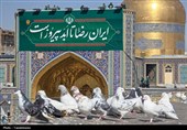 فضا آرایی حرم مطهر رضوی در آغاز دهه کرامت