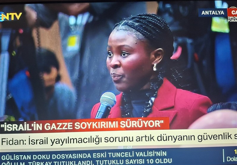 کشور ترکیه , وزیر امور خارجه ترکیه , 