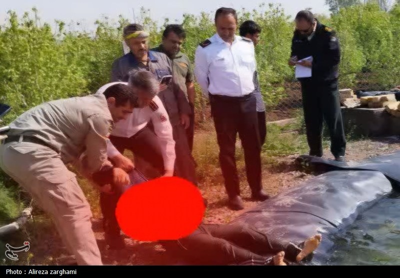 اخبار استان قزوین , اخبار قزوین , شهدای آتش نشان , 