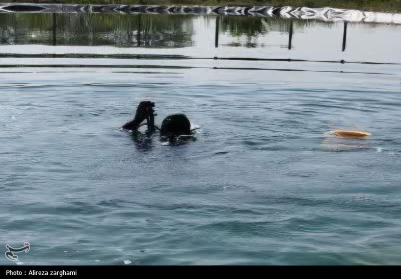 اخبار استان قزوین , اخبار قزوین , شهدای آتش نشان , 