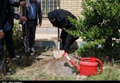 وقتی آموزش، سبز شد