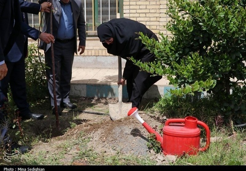 وقتی آموزش، سبز شد