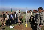 آغاز پویش ملی «سرو ایران» در خانگرمز همدان