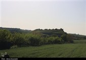 طبیعت بهاری " باغ گلبن"