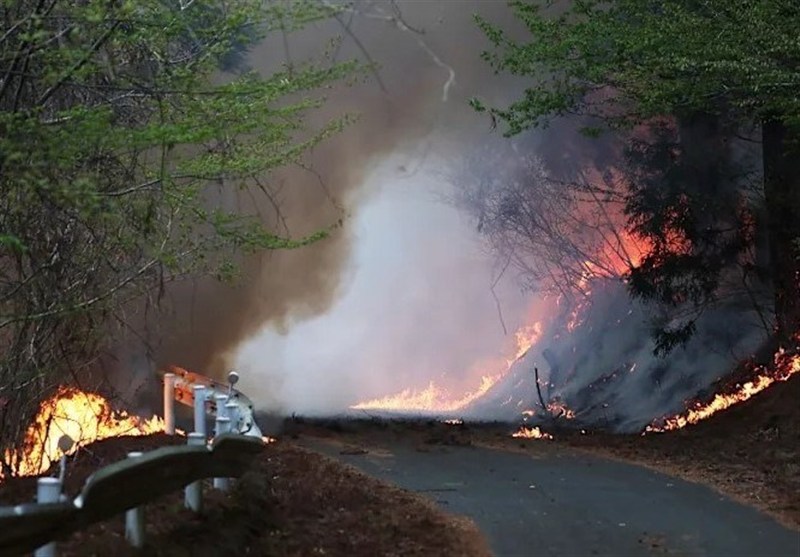 Northeast Japan Wildfire Uncontained, Scorching Nearly 1,200 Hectares