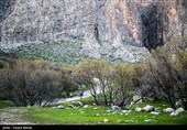 گردشگران در منطقه حفاظت شده چالابه - کرمانشاه